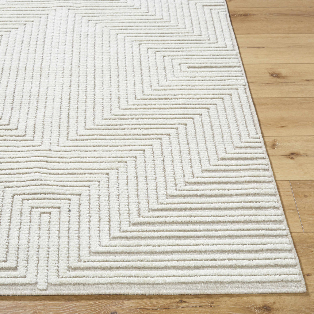 Briana Beige Washable Area Rug-2
