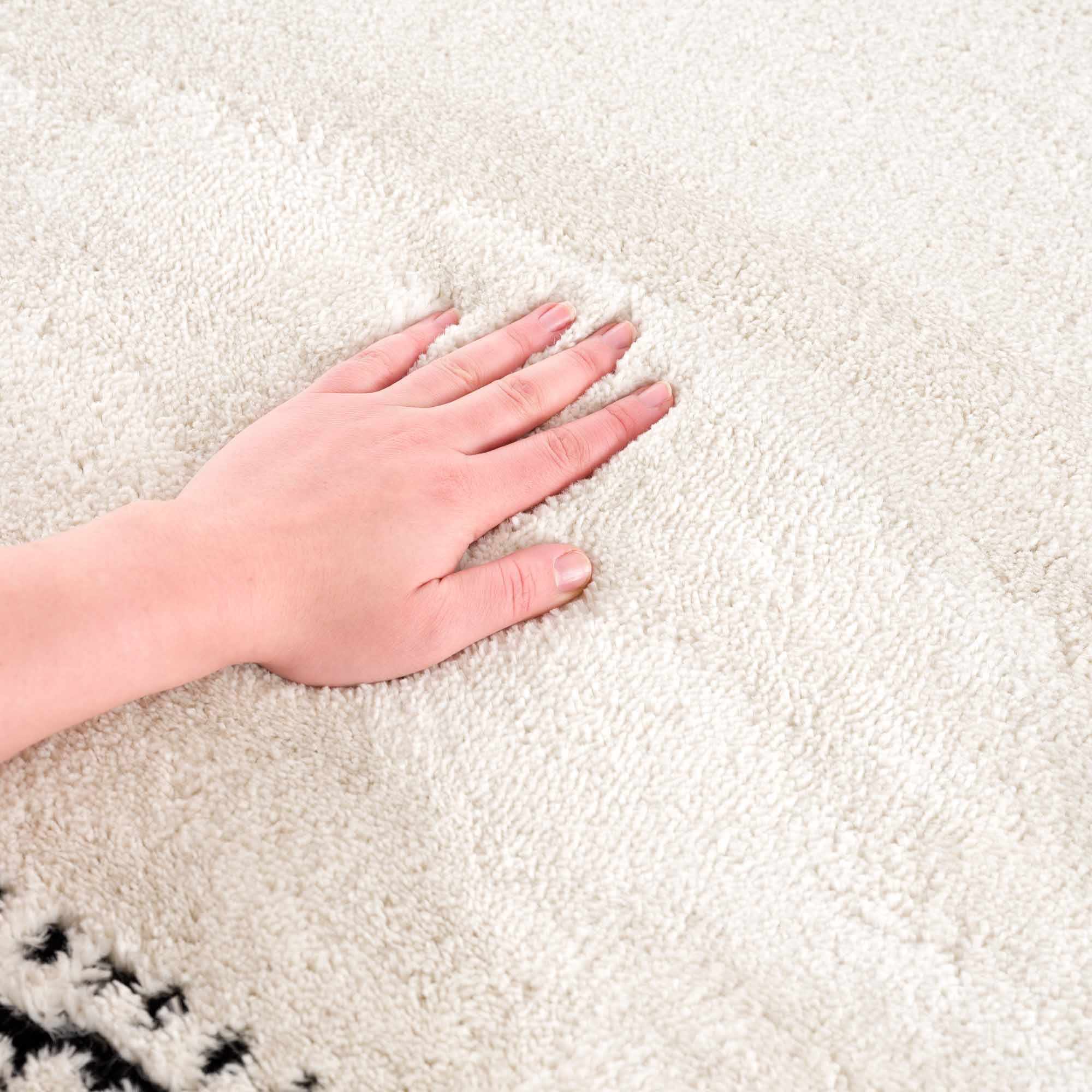 Ryuu Black & White Area Rug-4