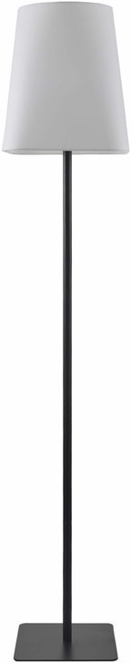 Hochpoint Adjustable Black Floor Lamp-0