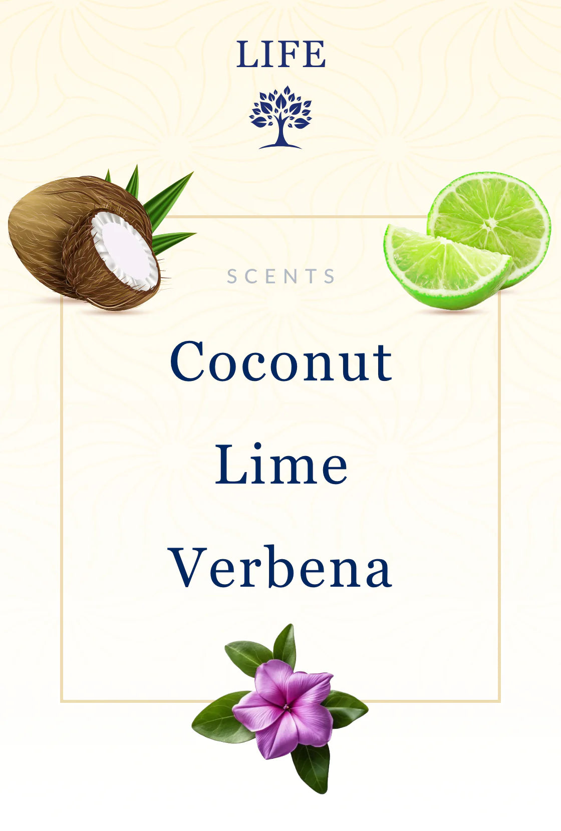 Life Bible Candle - Coconut, Lime & Verbena Scent with Hidden Verses-1