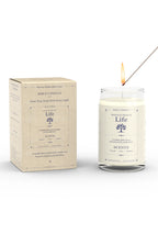 Life Bible Candle - Coconut, Lime & Verbena Scent with Hidden Verses-4