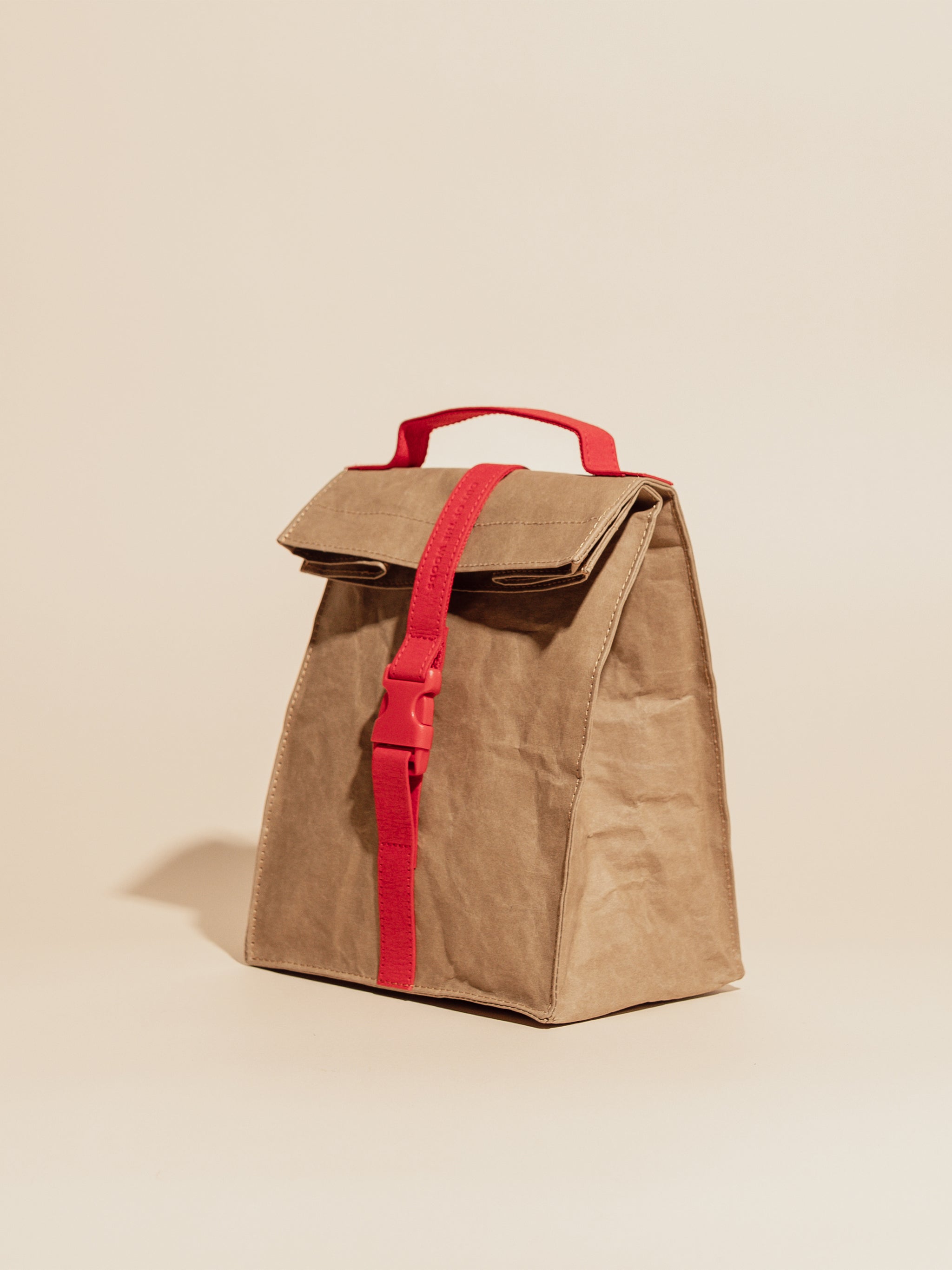 Paper Sack Lunch Cooler-1