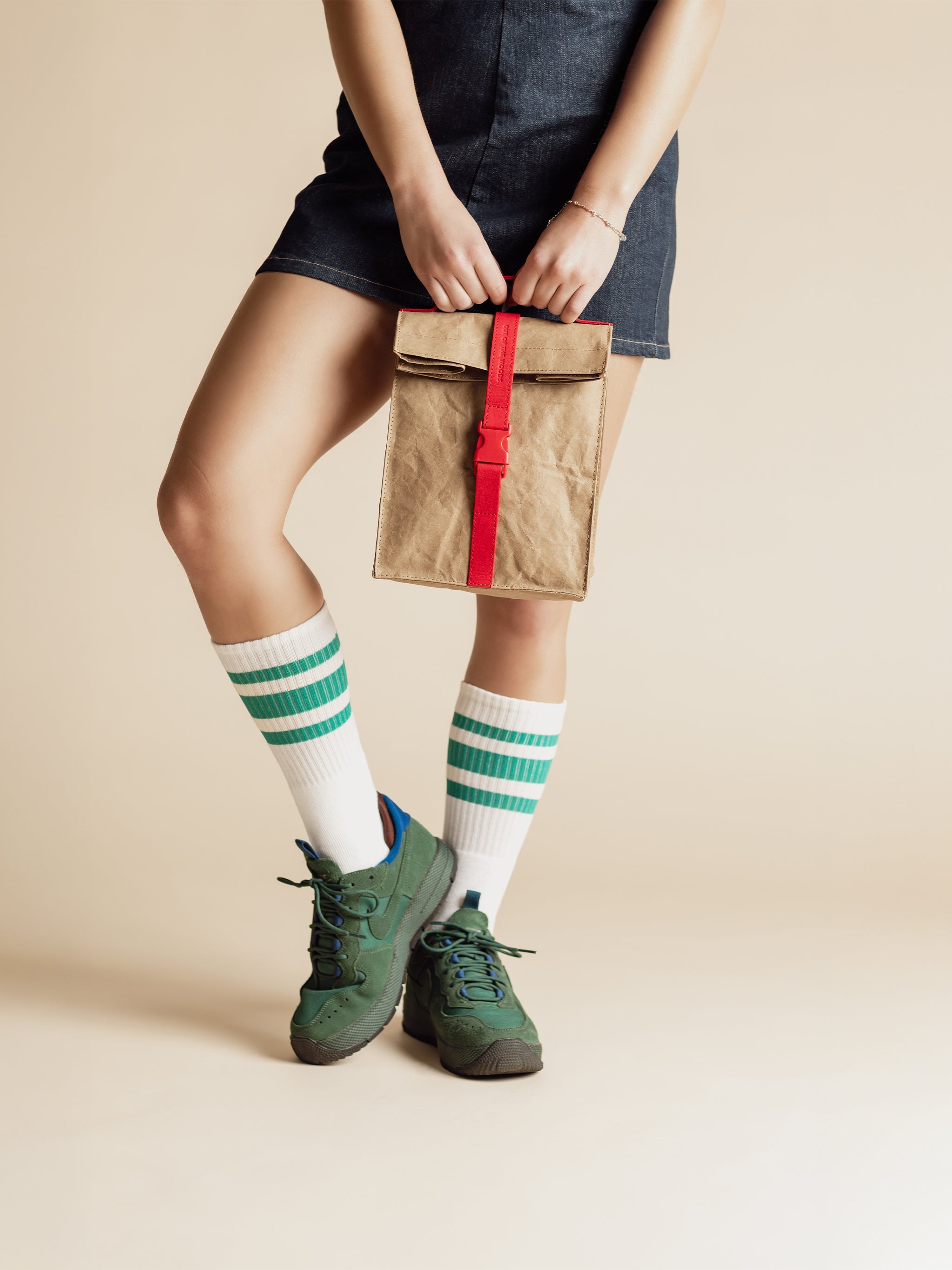 Paper Sack Lunch Cooler-3