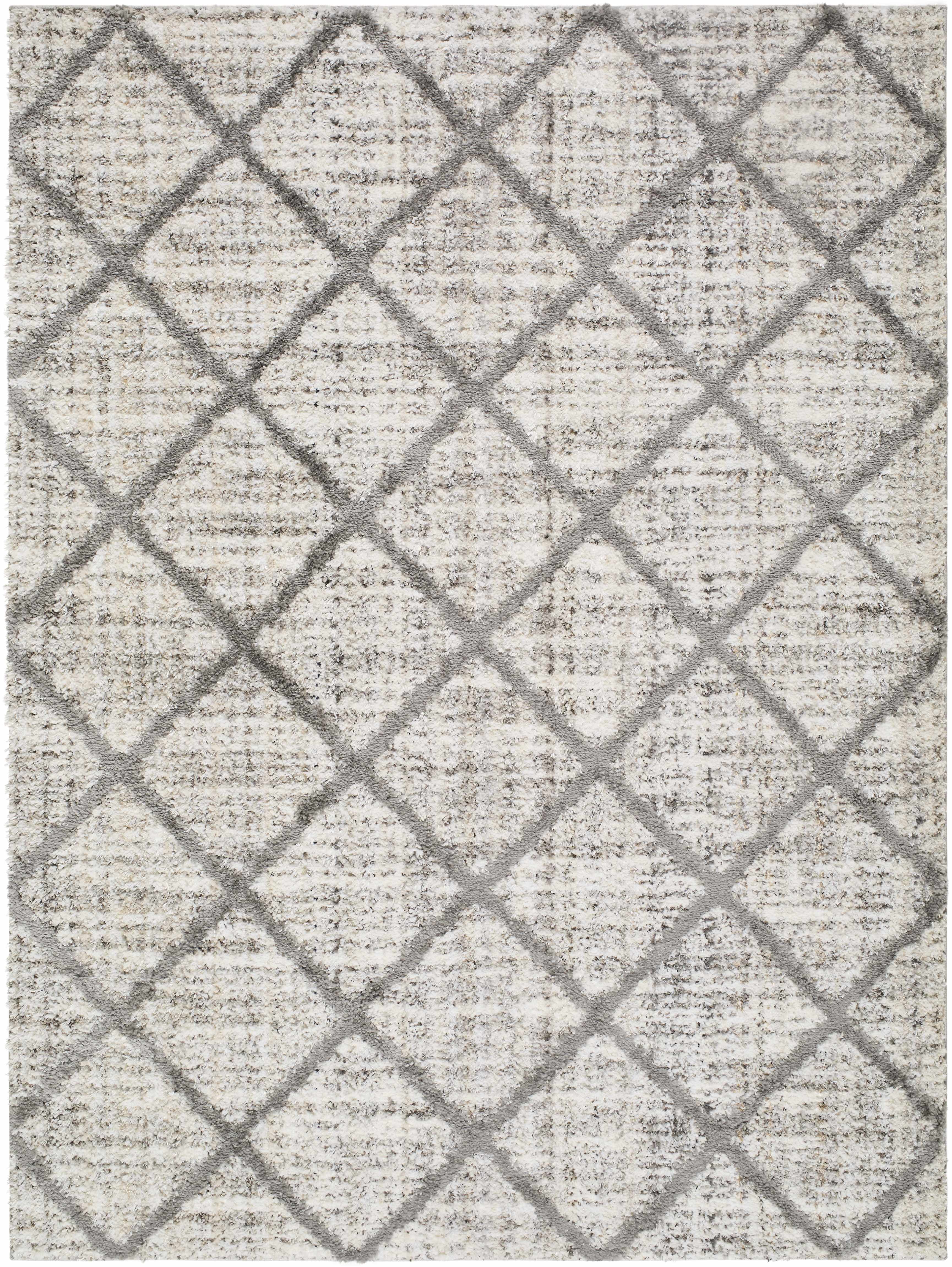 Anuhea Off White Area Rug-0