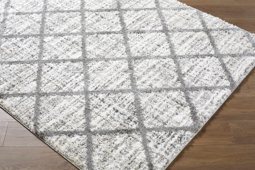 Anuhea Off White Area Rug-2