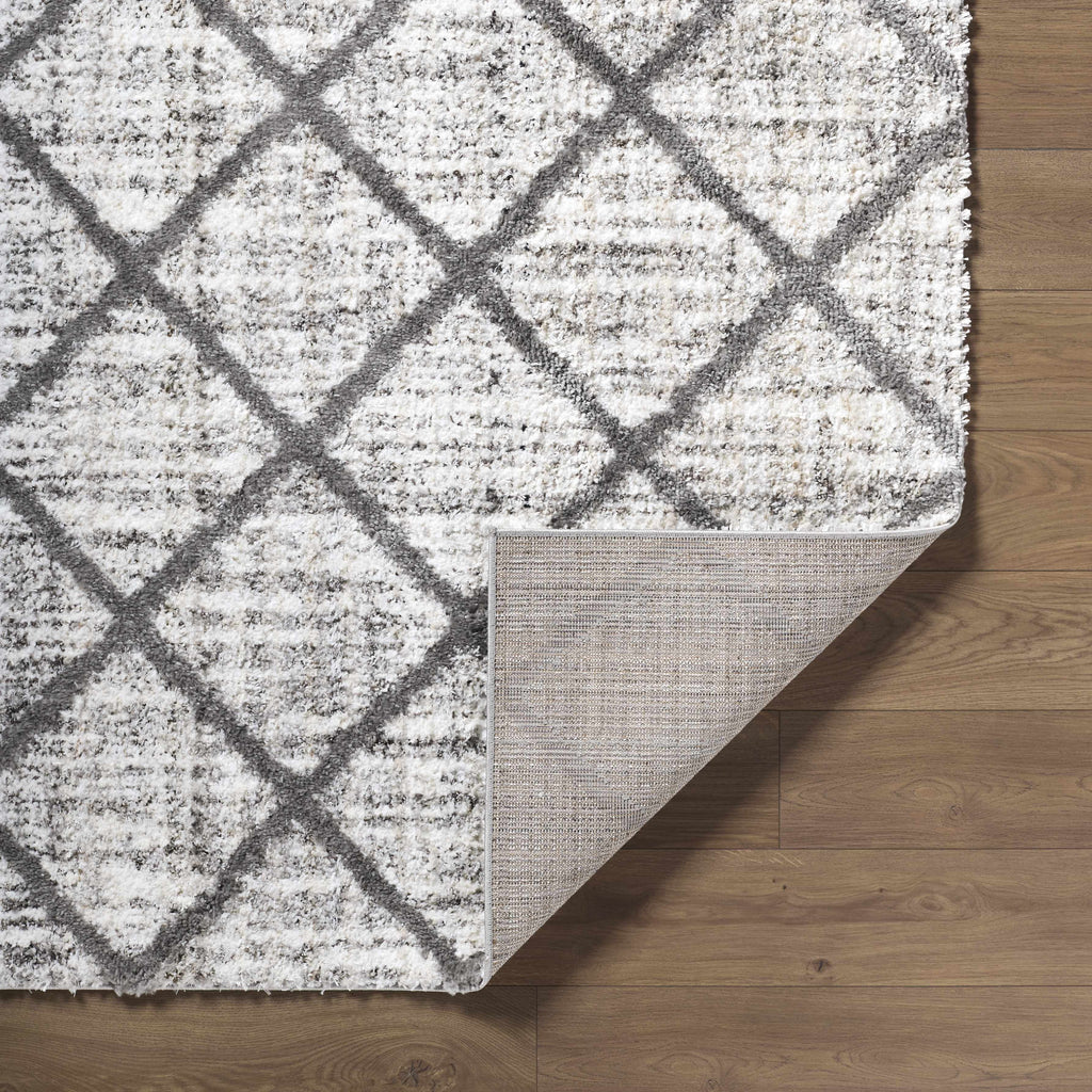 Anuhea Off White Area Rug-3