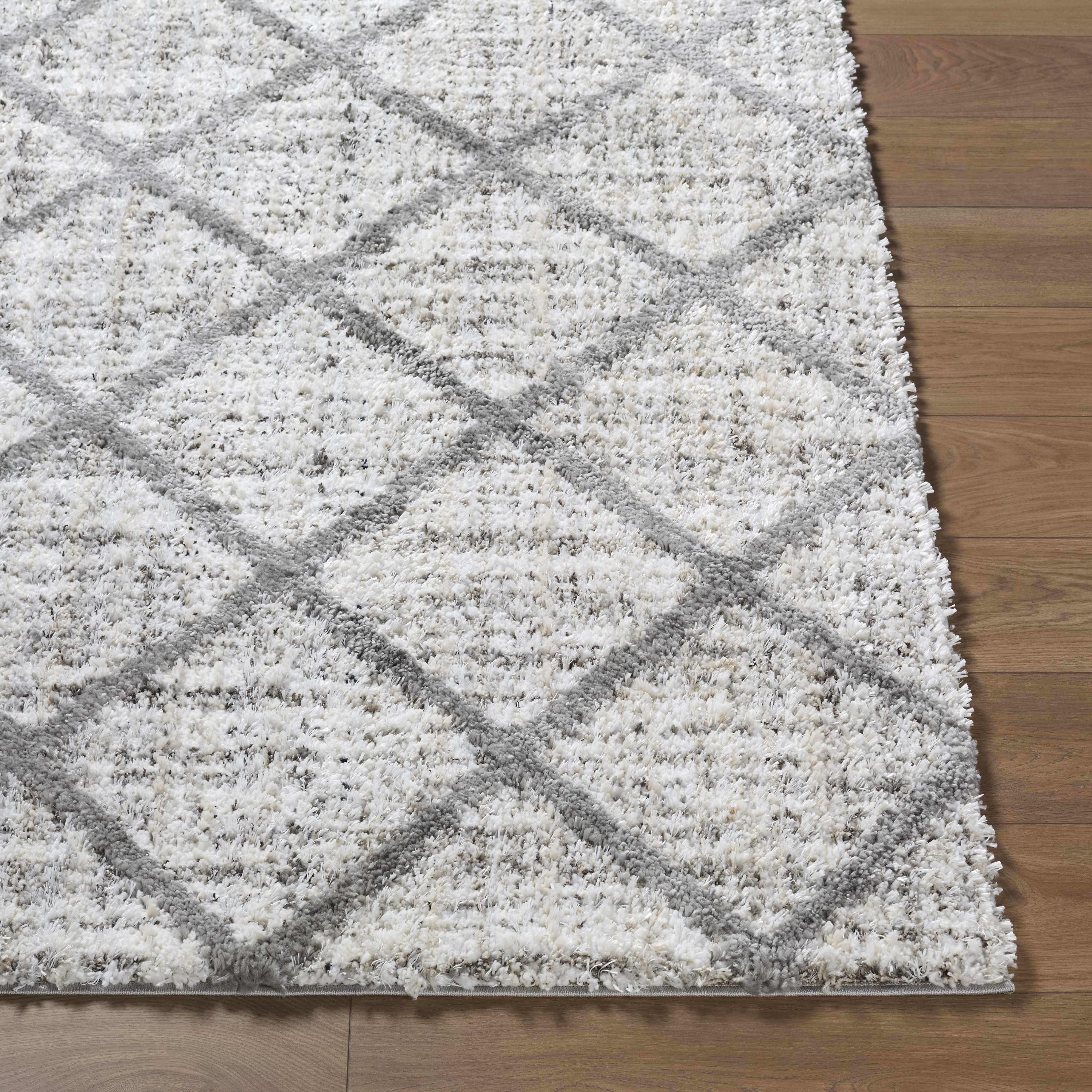 Anuhea Off White Area Rug-1