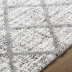 Anuhea Off White Area Rug-4
