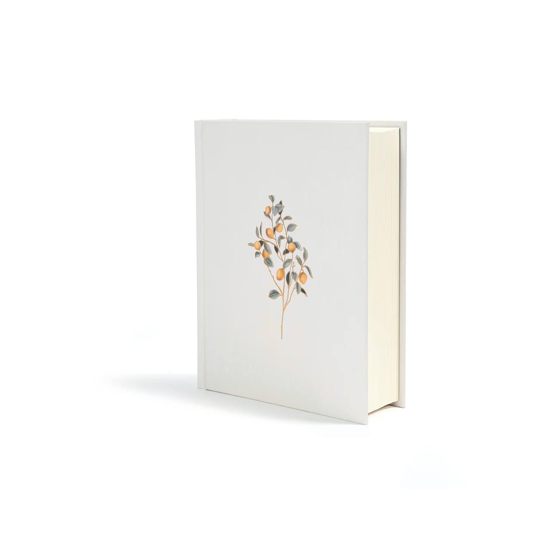 CSB Notetaking Bible, Hosanna Revival Edition, Lemons - Hardcover