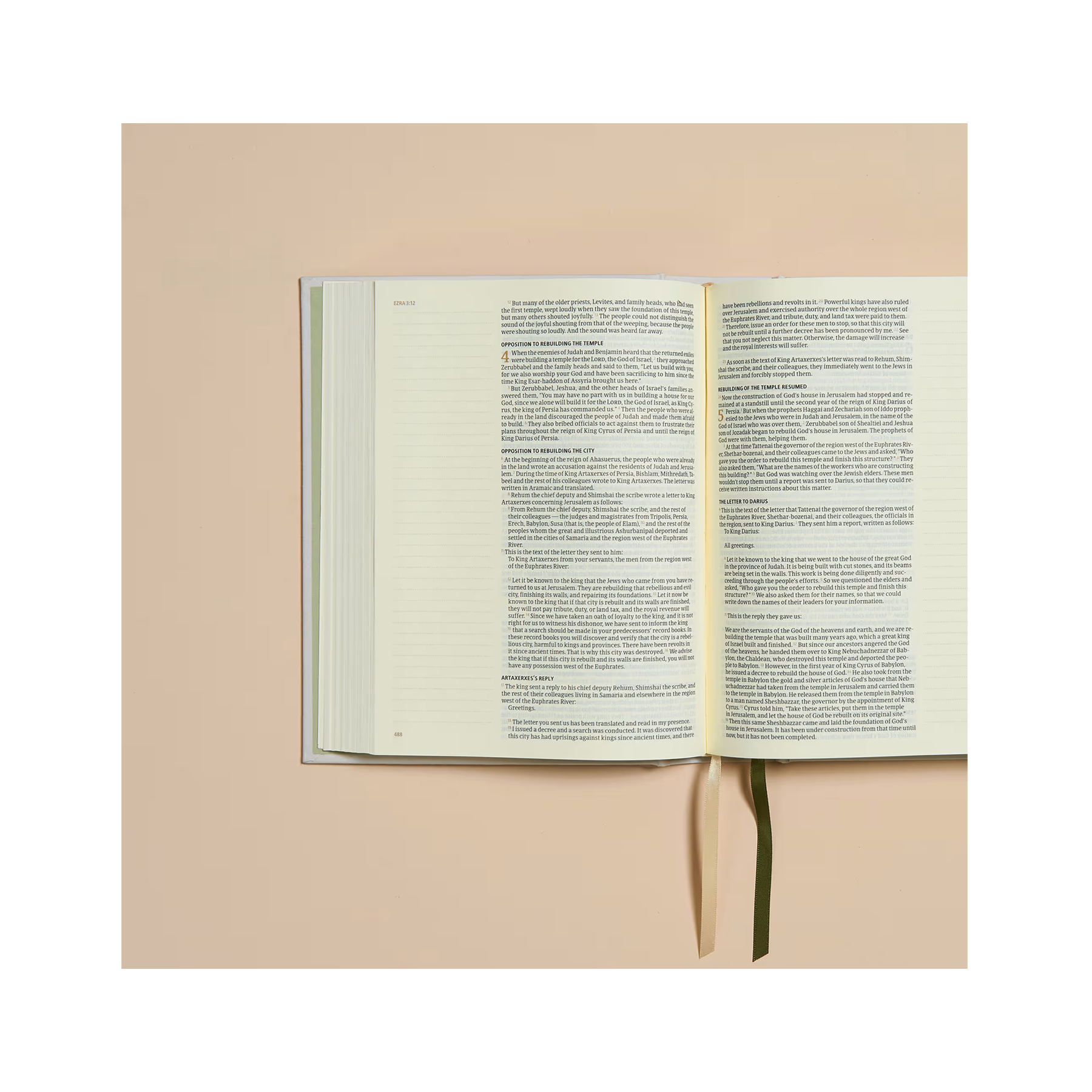 CSB Notetaking Bible, Hosanna Revival Edition, Lemons - Hardcover