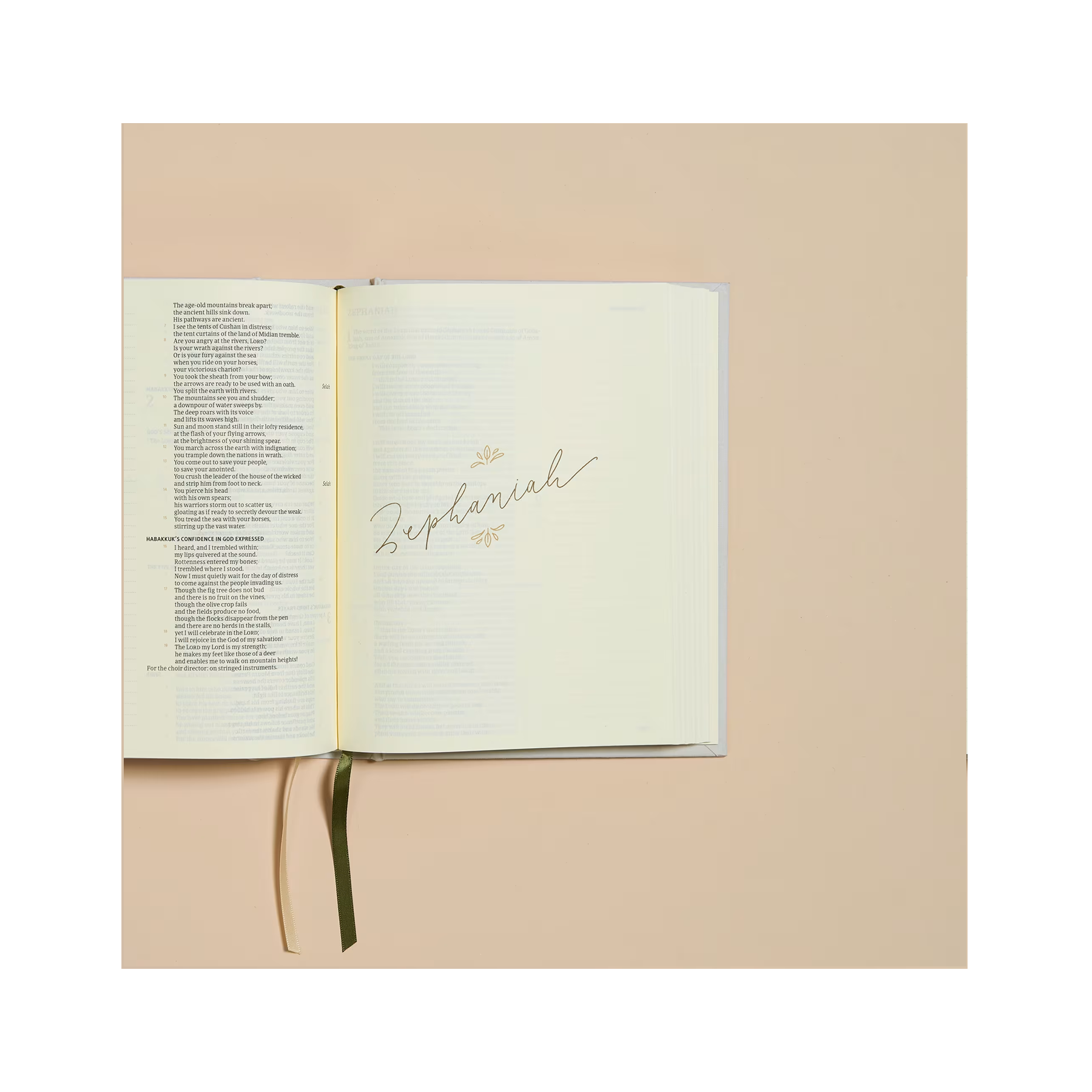 CSB Notetaking Bible, Hosanna Revival Edition, Lemons - Hardcover