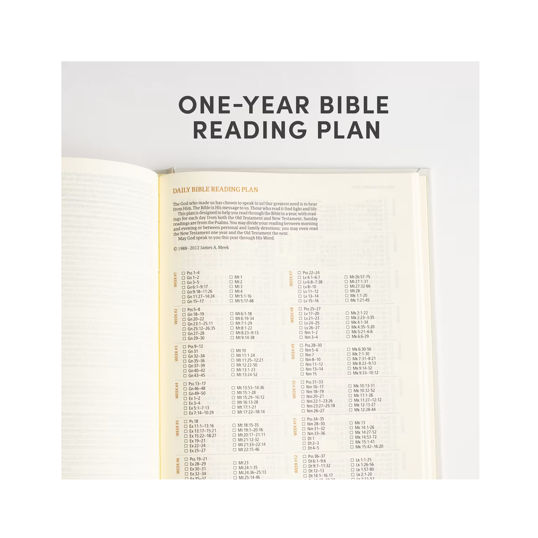 CSB Notetaking Bible, Hosanna Revival Edition, Lemons - Hardcover