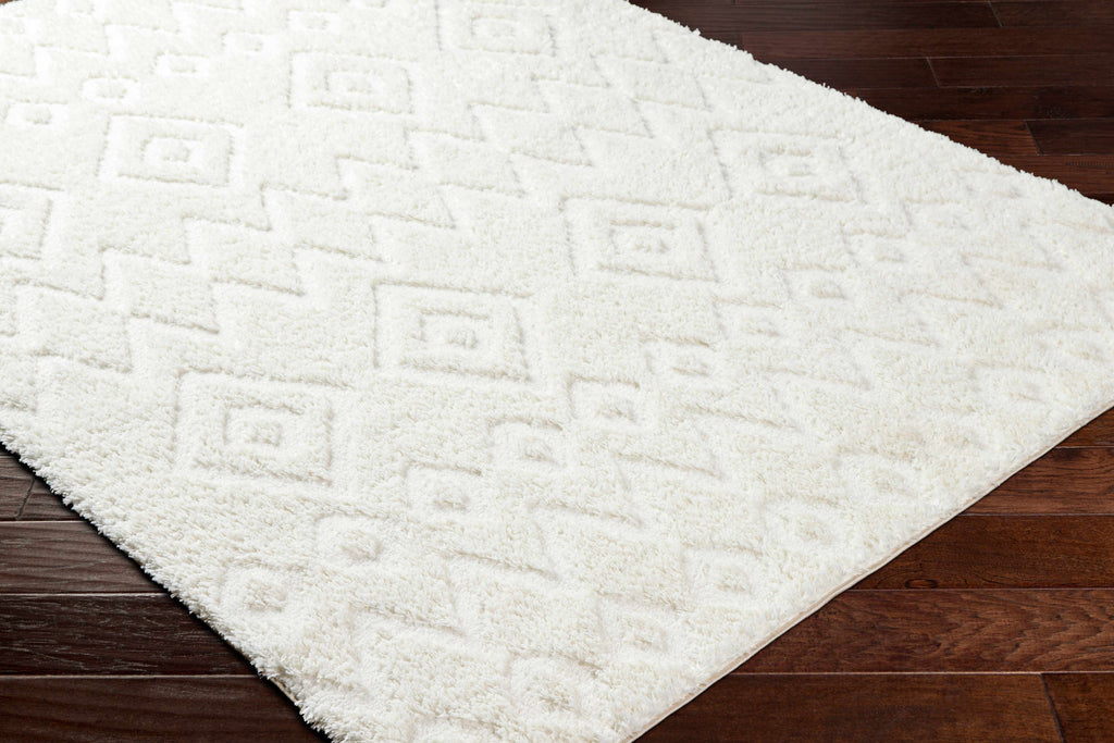 Hoshi Area Rug-1