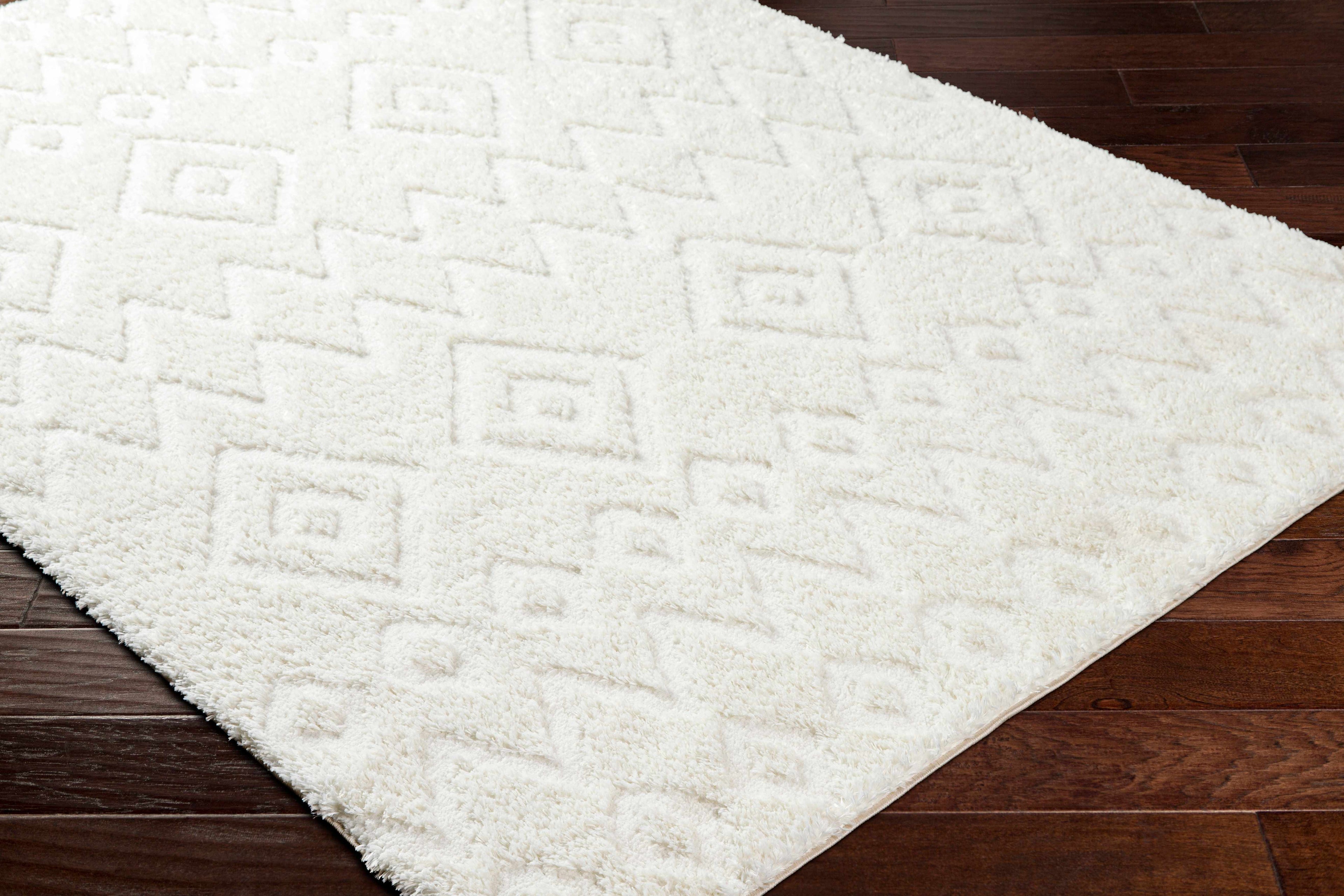 Hoshi Area Rug-1