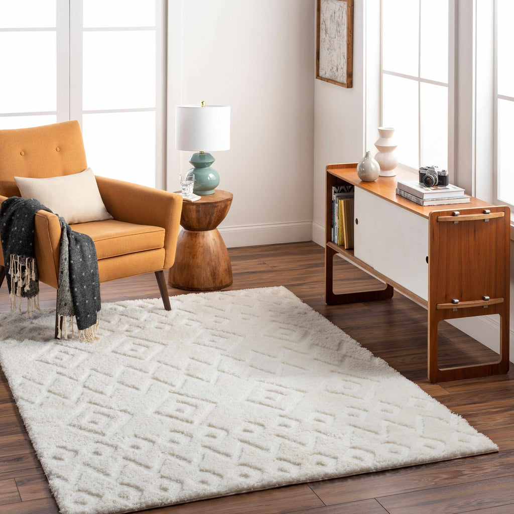 Hoshi Area Rug-2